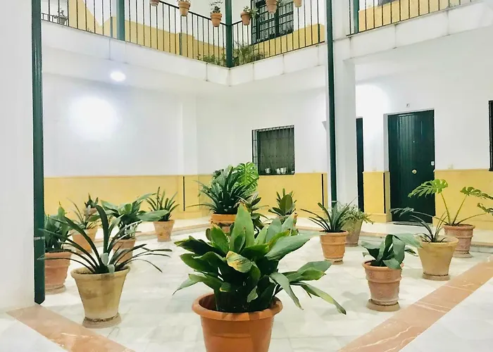 Los Patios De La Juderia