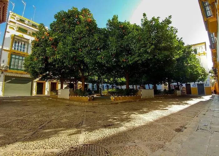 Plaza Elvira Atico- Penthouse Next To Cathedral
