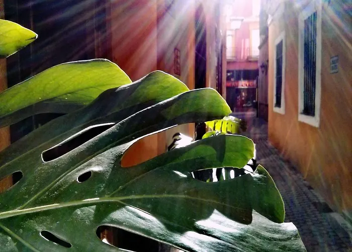 Pension Virgen De La Luz
