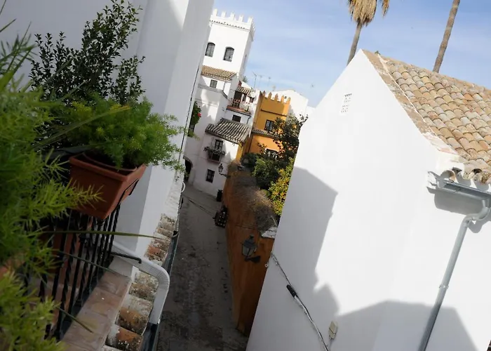 Wall Of The Alcazar Palace